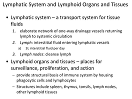 Lymphatic System and Lymphoid Organs and Tissues