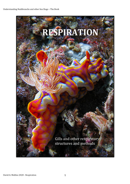 Gills and Other Respiratory Structures and Methods