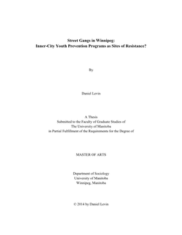 Street Gangs in Winnipeg: Inner-City Youth Prevention Programs As Sites of Resistance?