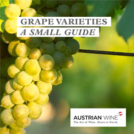Grape Varieties a Small Guide