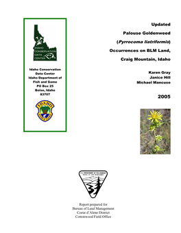Updated Palouse Goldenweed (Pyrrocoma