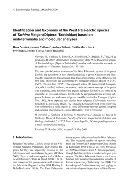 Diptera: Tachinidae) Based on Male Terminalia and Molecular Analyses