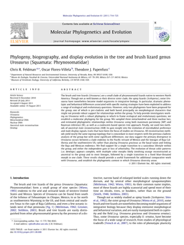 Phylogeny, Biogeography, and Display Evolution in the Tree and Brush Lizard Genus Urosaurus (Squamata: Phrynosomatidae) ⇑ Chris R