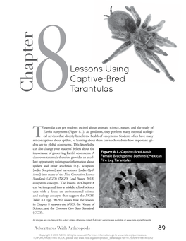 Chapter Tarantulas