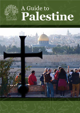 Palestine AA Guideguide to to Palestinepalestine