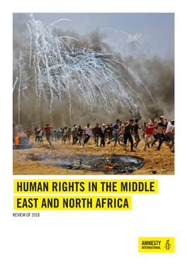 Human Rights in the Middle East and North Africa: a Review of 2018
