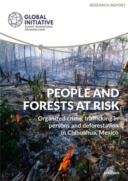 People and Forests at Risk: Organized Crime, Trafficking in Persons And