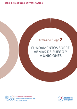 Fundamentos Sobre Armas De Fuego Y Municiones