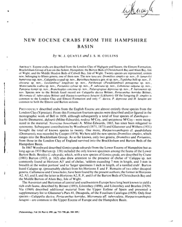 New Eocene Crabs from the Hampshire Basin