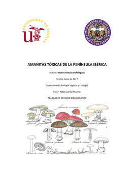 Amanitas Tóxicas De La Península Ibérica