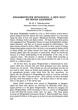 Phragmotelium Mysorensis, a New Rust on Indian Raspberry