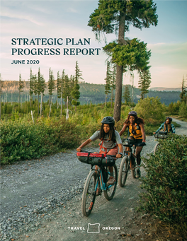 Strategic Plan Progress Report