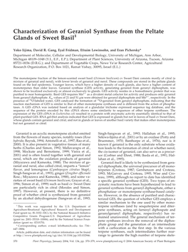 Characterization of Geraniol Synthase from the Peltate Glands of Sweet Basil1