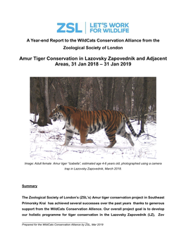 Amur Tiger Conservation in Lazovsky Zapovednik and Adjacent Areas, 31 Jan 2018 – 31 Jan 2019