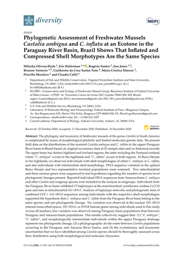 Phylogenetic Assessment of Freshwater Mussels Castalia Ambigua and C