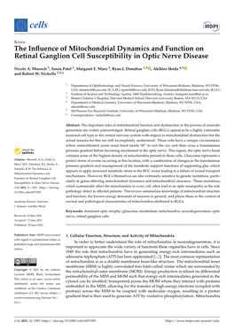 The Influence of Mitochondrial Dynamics and Function on Retinal