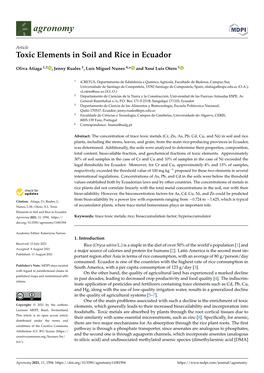 Toxic Elements in Soil and Rice in Ecuador