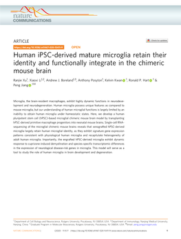 Human Ipsc-Derived Mature Microglia Retain Their Identity and Functionally Integrate in the Chimeric Mouse Brain