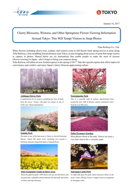 Cherry Blossoms, Wisteria, and Other Springtime Flower-Viewing Information