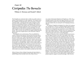 Cirripedia: the Barnacles William A