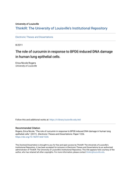 The Role of Curcumin in Response to BPDE-Induced DNA Damage in Human Lung Epithelial Cells