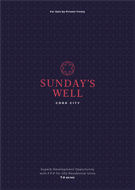 Sunday's Well