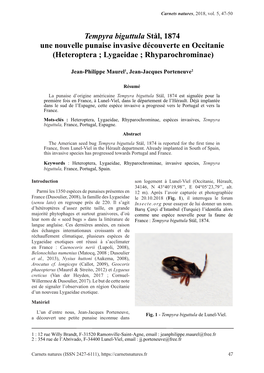 Heteroptera ; Lygaeidae ; Rhyparochrominae)