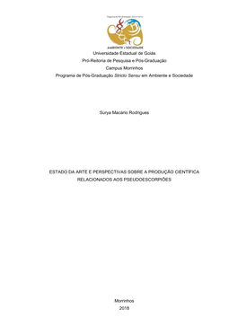 Dissertacao Final Surya Macario.Pdf