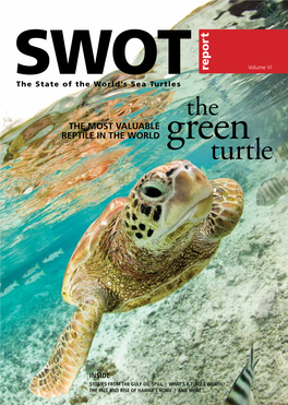 Report Volume VI the State of the World’S Sea Turtles the the Most Valuable Reptile in the World Green Turtle