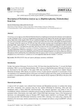 Diphtherophorina, Trichodoridae) from Iran