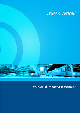 20. Social Impact Assessment