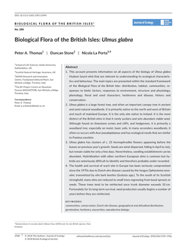 Biological Flora of the British Isles: Ulmus Glabra