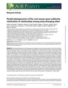 Plastid Phylogenomics of the Cool-Season Grass Subfamily: Clariﬁcation of Relationships Among Early-Diverging Tribes