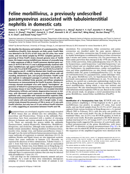 Feline Morbillivirus, a Previously Undescribed Paramyxovirus Associated with Tubulointerstitial Nephritis in Domestic Cats