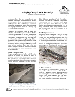 Stinging Caterpillars in Kentucky Ric Bessin, Extension Specialist Entfact-003
