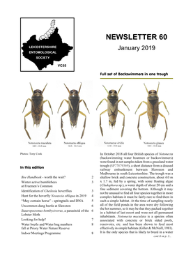 NEWSLETTER 60 LEICESTERSHIRE January 2019 ENTOMOLOGICAL SOCIETY
