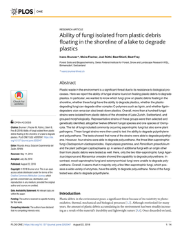 Ability of Fungi Isolated from Plastic Debris Floating in the Shoreline of a Lake to Degrade Plastics