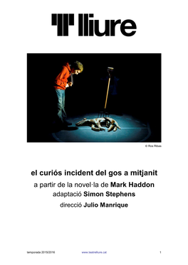 El Curiós Incident Del Gos a Mitjanit a Partir De La Novel·La De Mark Haddon Adaptació Simon Stephens Direcció Julio Manrique