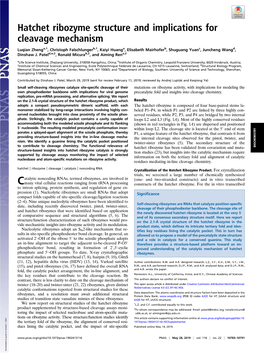 Hatchet Ribozyme Structure and Implications for Cleavage Mechanism