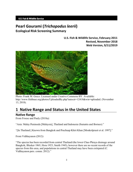 Pearl Gourami (Trichopodus Leerii) ERSS