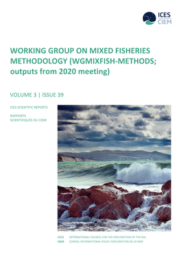 WORKING GROUP on MIXED FISHERIES METHODOLOGY (WGMIXFISH-METHODS; Outputs from 2020 Meeting)