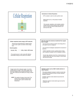 Introduction to Cellular Respiration •ATP Is Needed in Order for Cells To