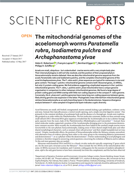 The Mitochondrial Genomes of the Acoelomorph Worms Paratomella