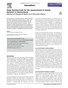 Deep Learning Tools for the Measurement of Animal Behavior In