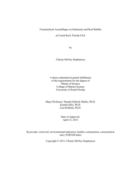 Master's Thesis