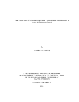 TISSUE CULTURE of Trifolium Polymorphum, T. Carolinianum, Adesmia Latifolia, A