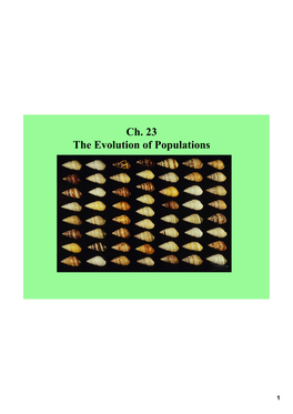 Ch. 23 the Evolution of Populations