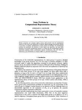 Some Problems in Computational Representation Theory