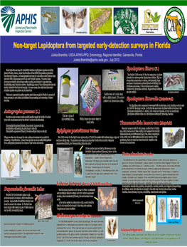 Non-Target Lepidoptera from Targeted Early-Detection Surveys in Florida