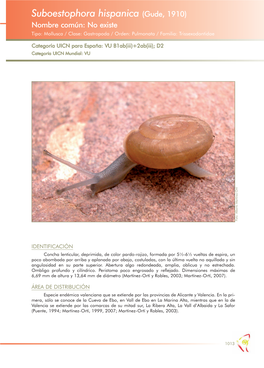 Suboestophora Hispanica (Gude, 1910) Nombre Común: No Existe Tipo: Mollusca / Clase: Gastropoda / Orden: Pulmonata / Familia: Trissexodontidae